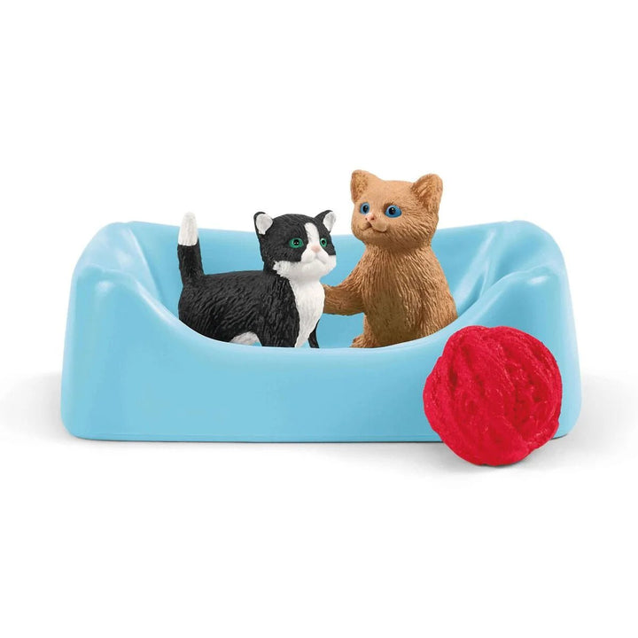 Playtime for Cute Cats - Tools 4 Teaching