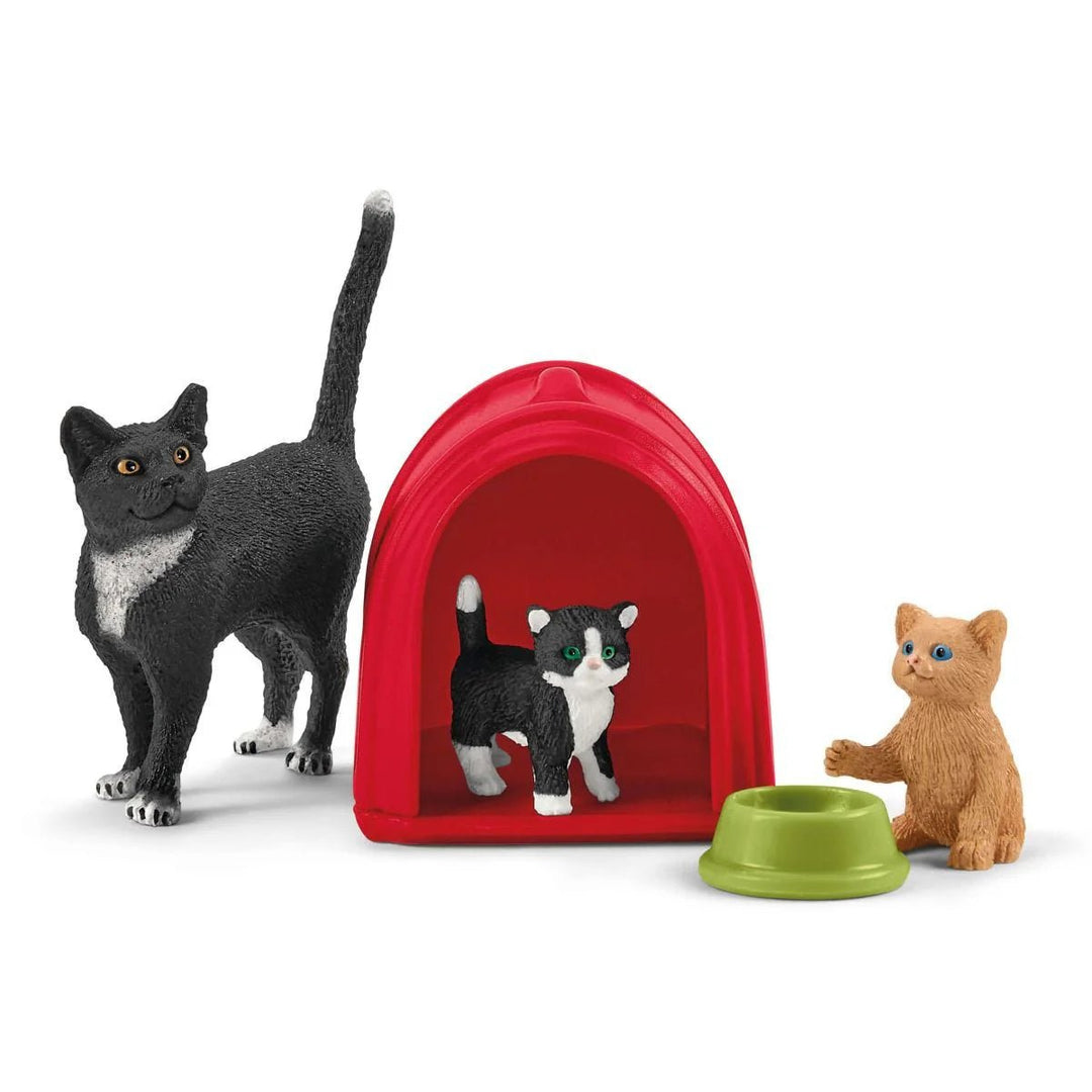 Playtime for Cute Cats - Tools 4 Teaching