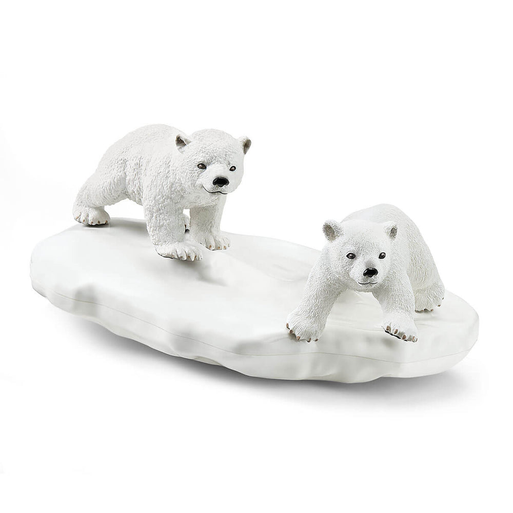 Polar Playground - Tools 4 Teaching