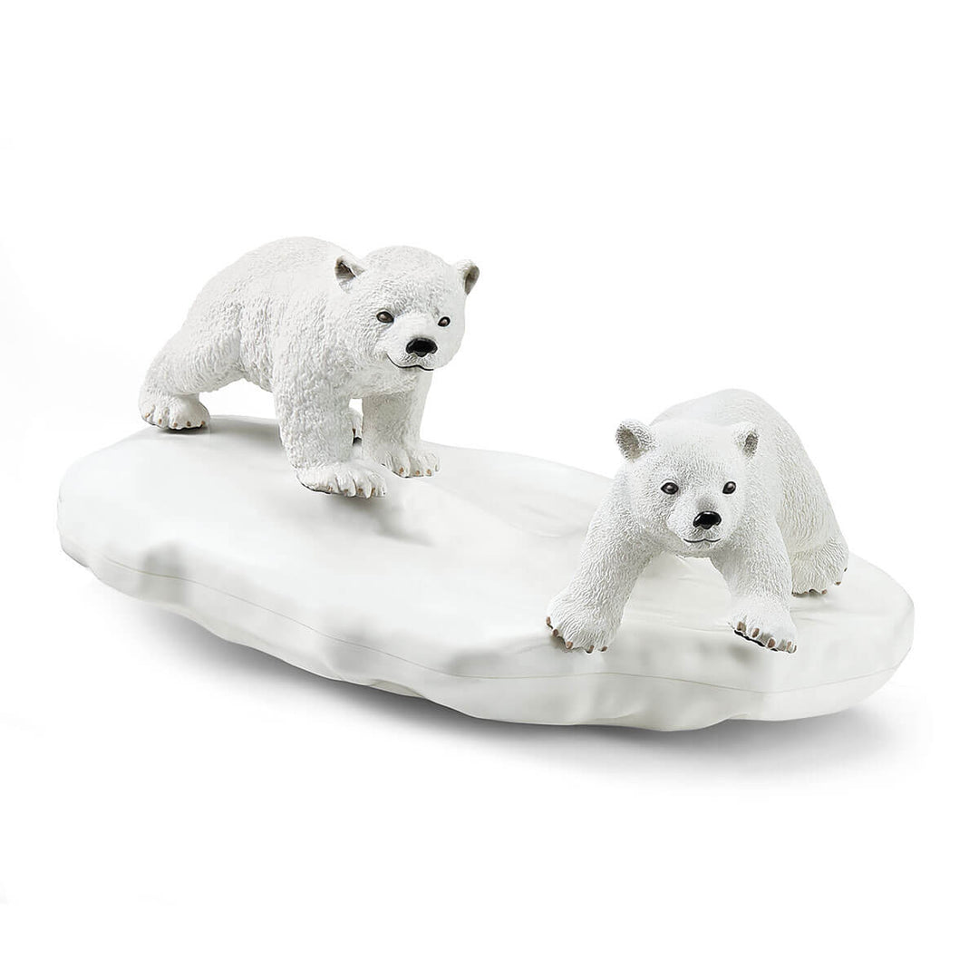 Polar Playground - Tools 4 Teaching
