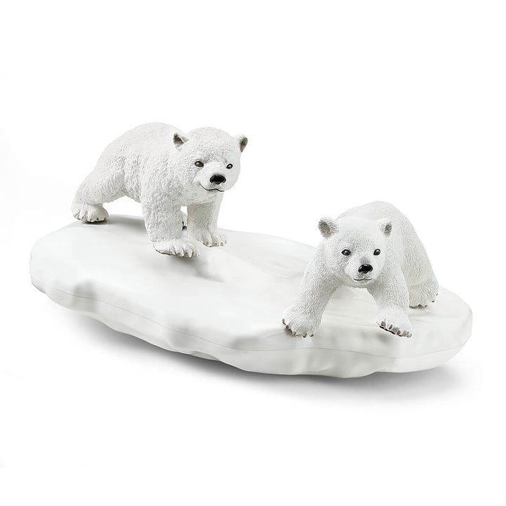 Polar Playground - Tools 4 Teaching