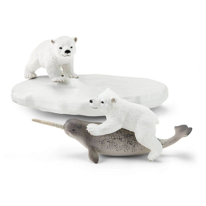 Polar Playground - Tools 4 Teaching