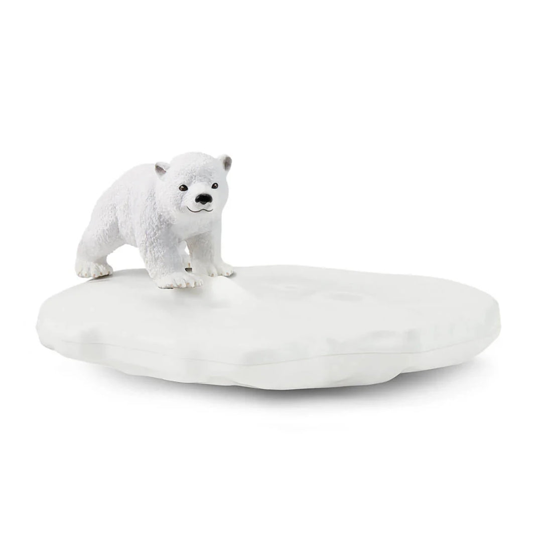 Polar Playground - Tools 4 Teaching