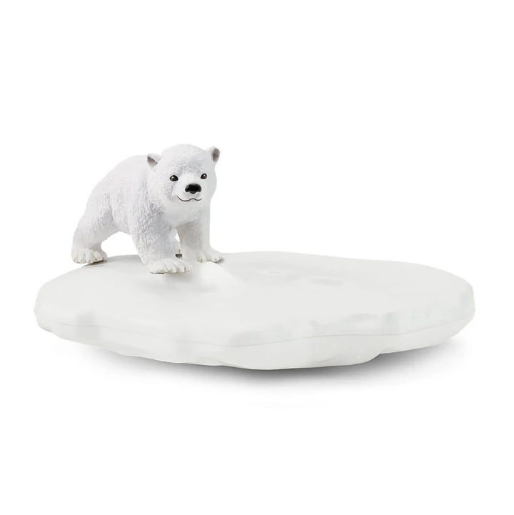 Polar Playground - Tools 4 Teaching
