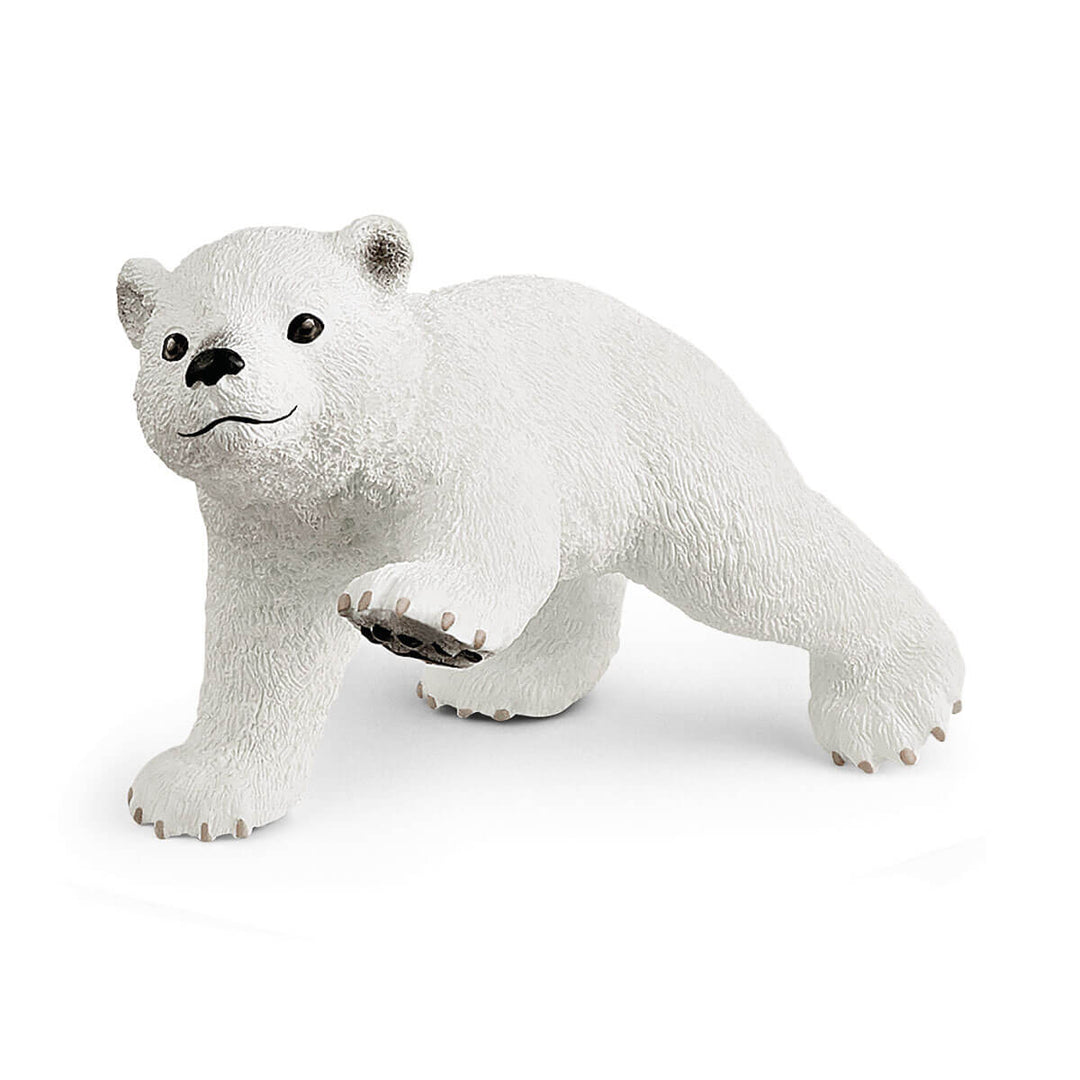 Polar Playground - Tools 4 Teaching