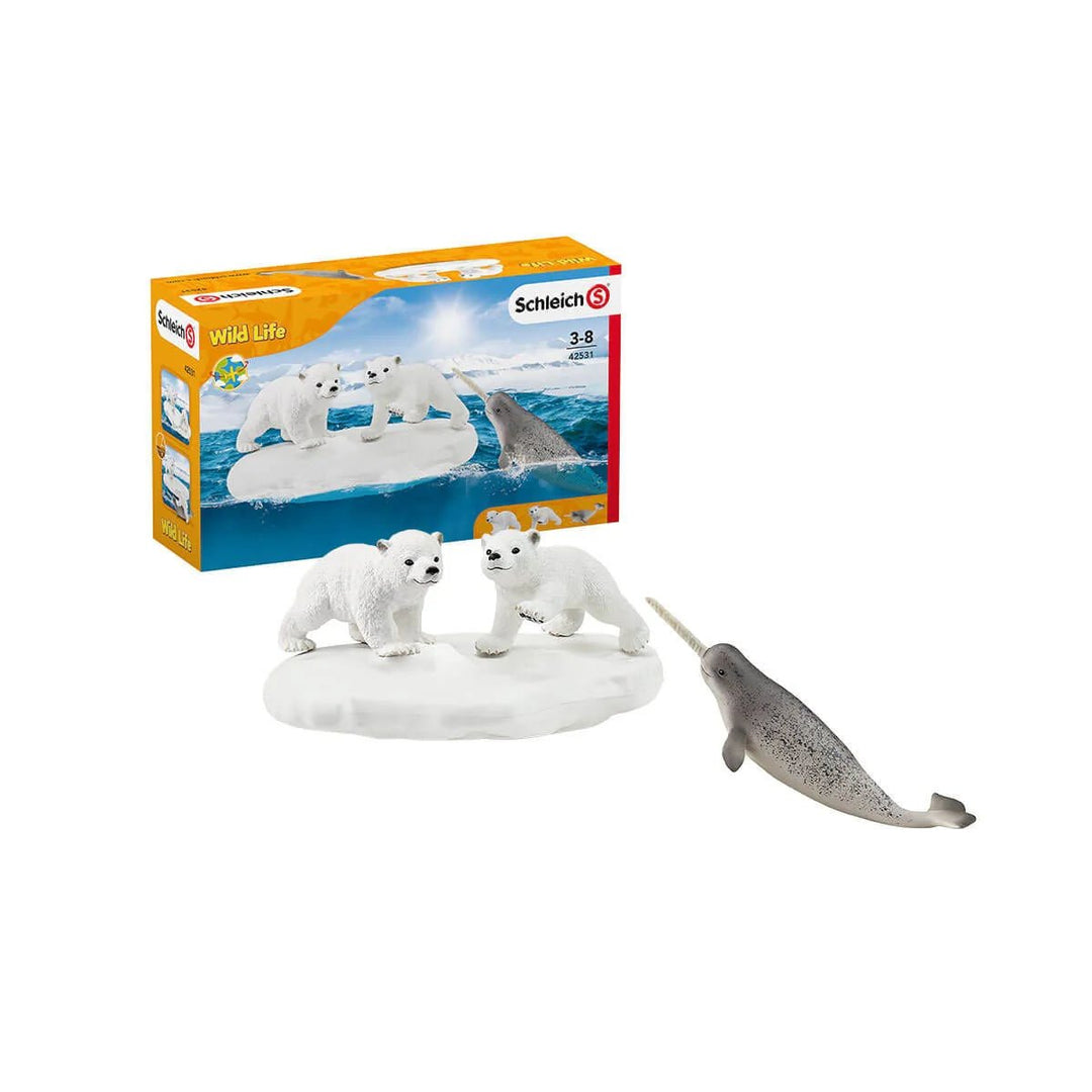 Polar Playground - Tools 4 Teaching