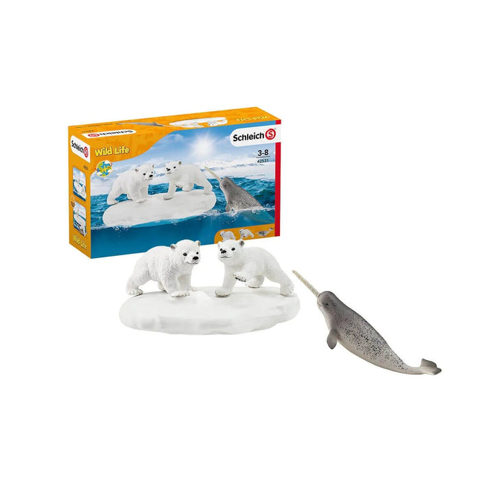Polar Playground - Tools 4 Teaching