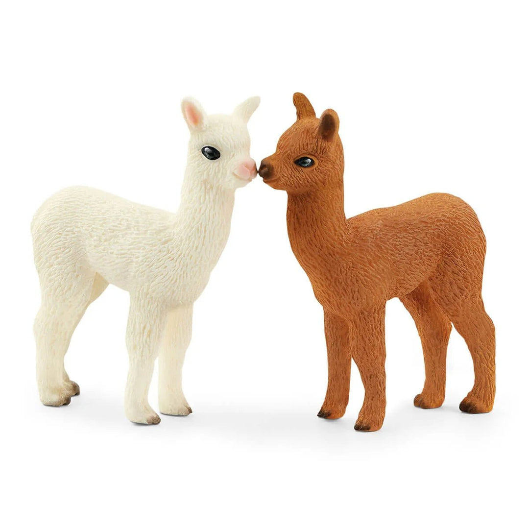 Alpaca Set - Tools 4 Teaching