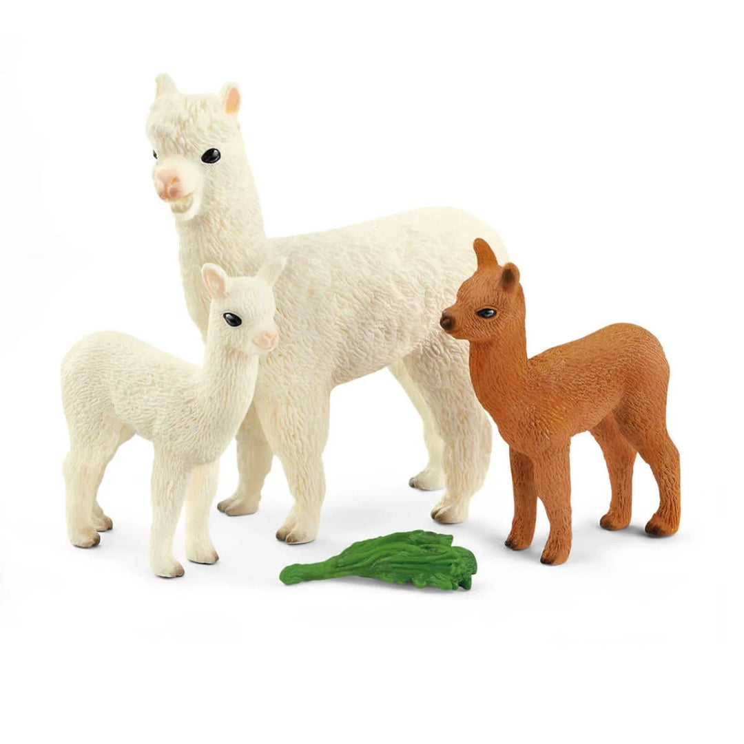 Alpaca Set - Tools 4 Teaching