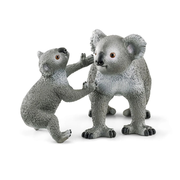 Koala Mother and Baby - Tools 4 Teaching