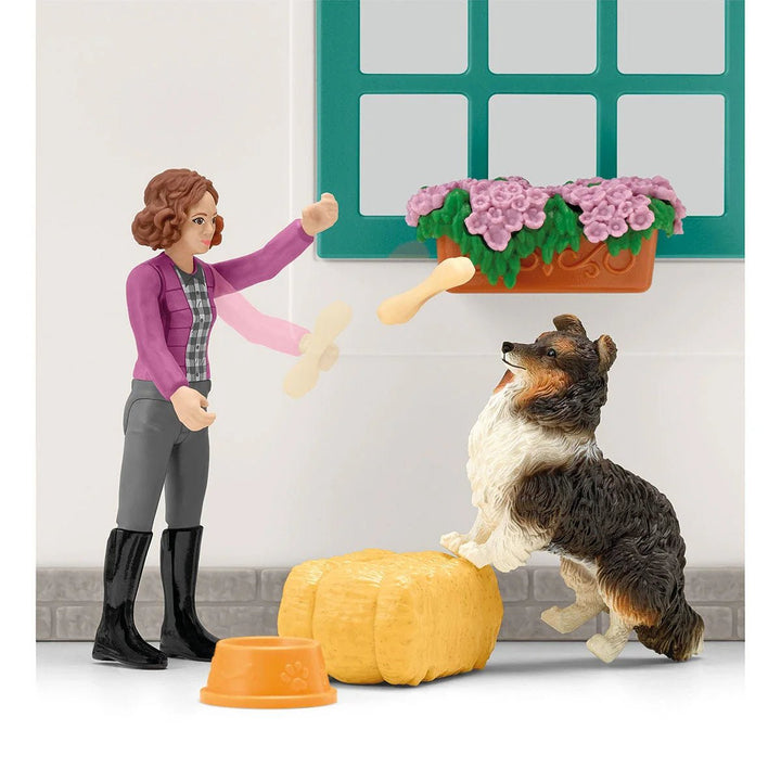 Tack Shop - Tools 4 Teaching
