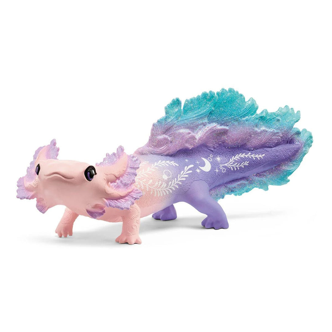 Axolotl discovery set - Tools 4 Teaching