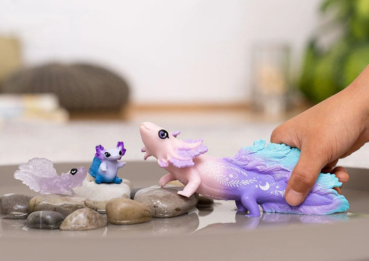 Axolotl discovery set - Tools 4 Teaching