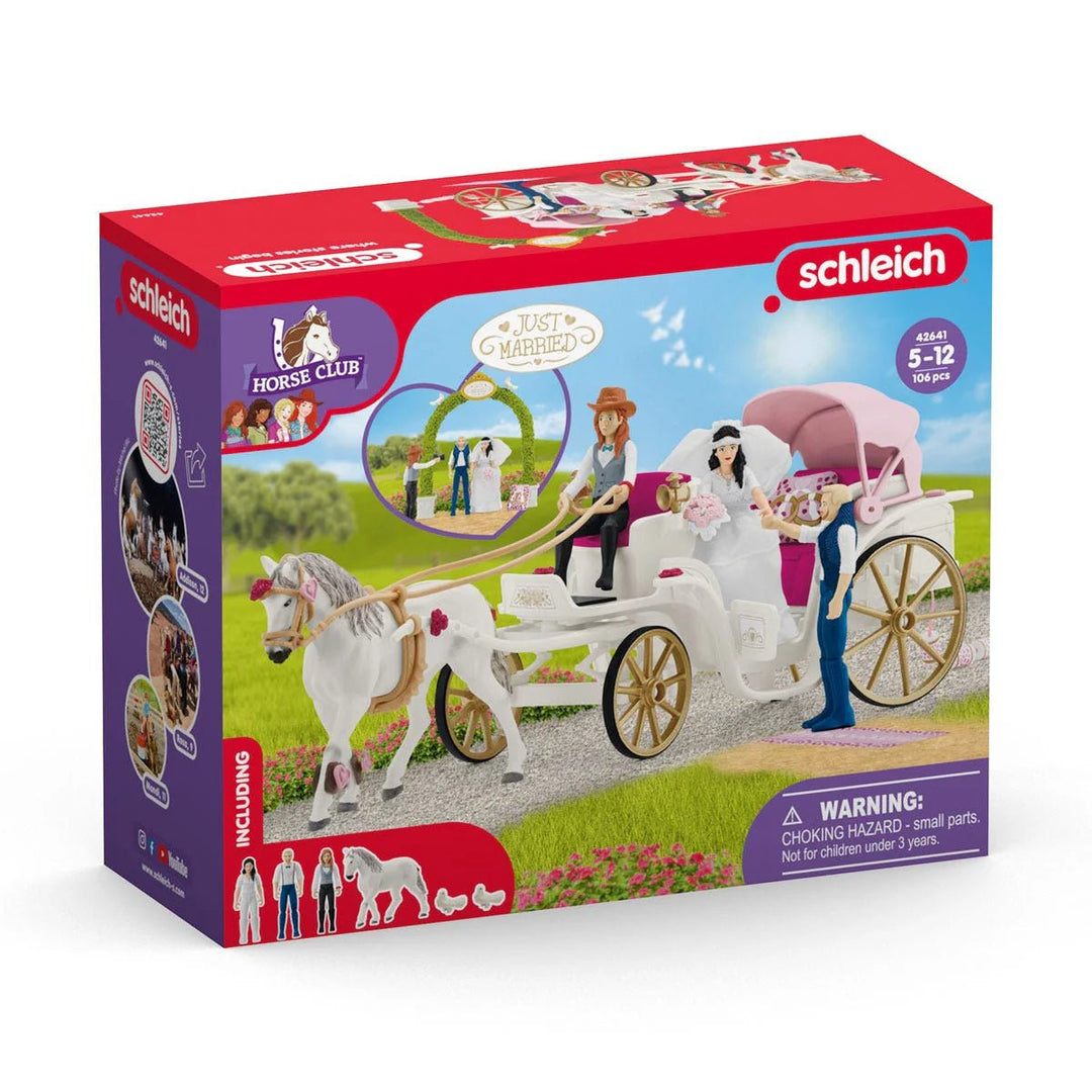 Wedding Carriage - Tools 4 Teaching