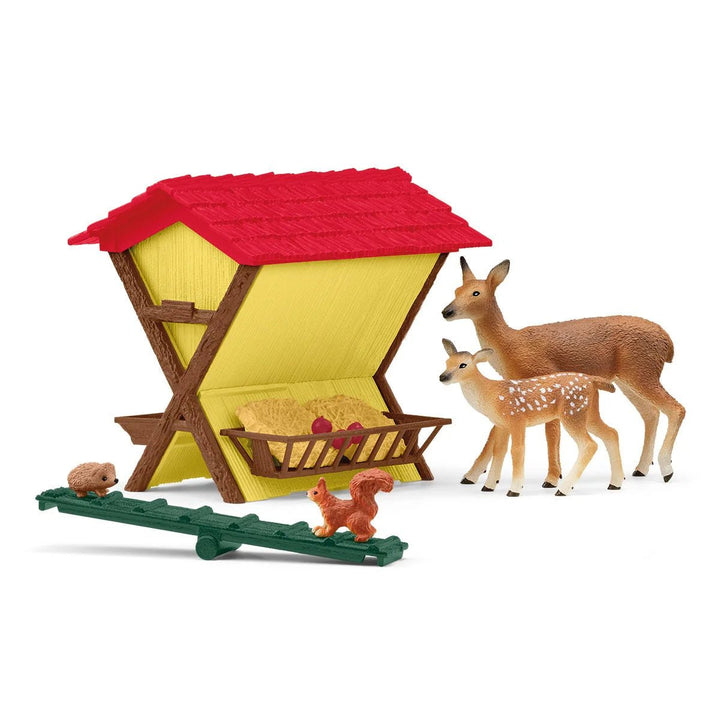 Feeding the Forest Animals - Tools 4 Teaching