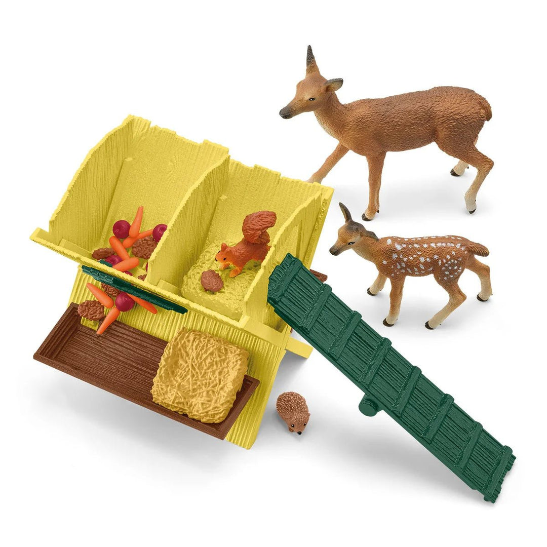 Feeding the Forest Animals - Tools 4 Teaching