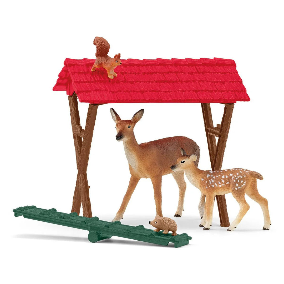 Feeding the Forest Animals - Tools 4 Teaching