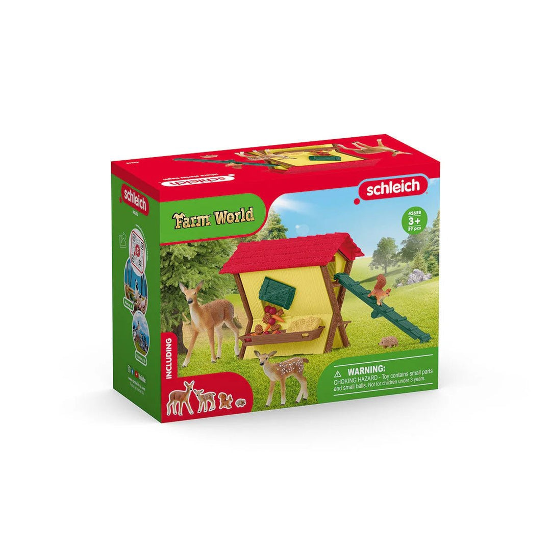 Feeding the Forest Animals - Tools 4 Teaching