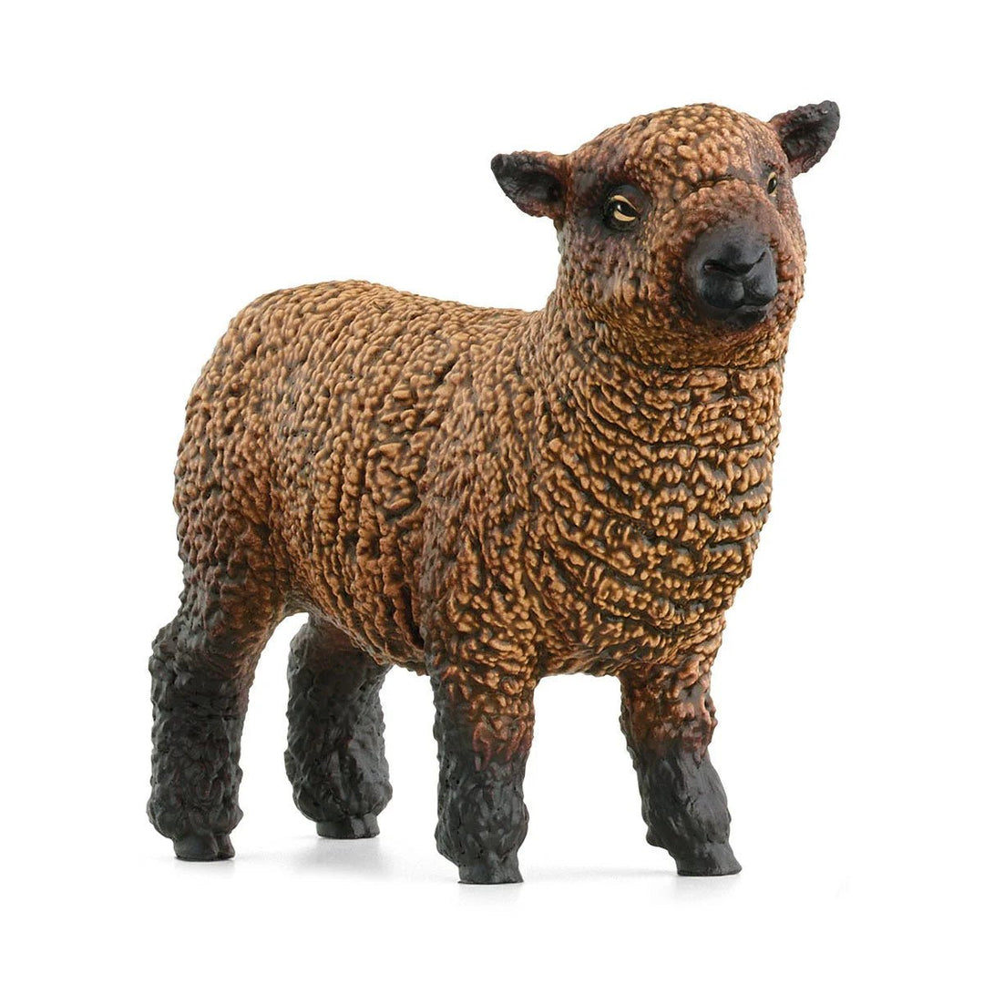 Sheep Friends - Tools 4 Teaching