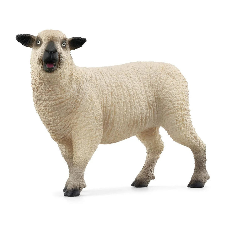 Sheep Friends - Tools 4 Teaching