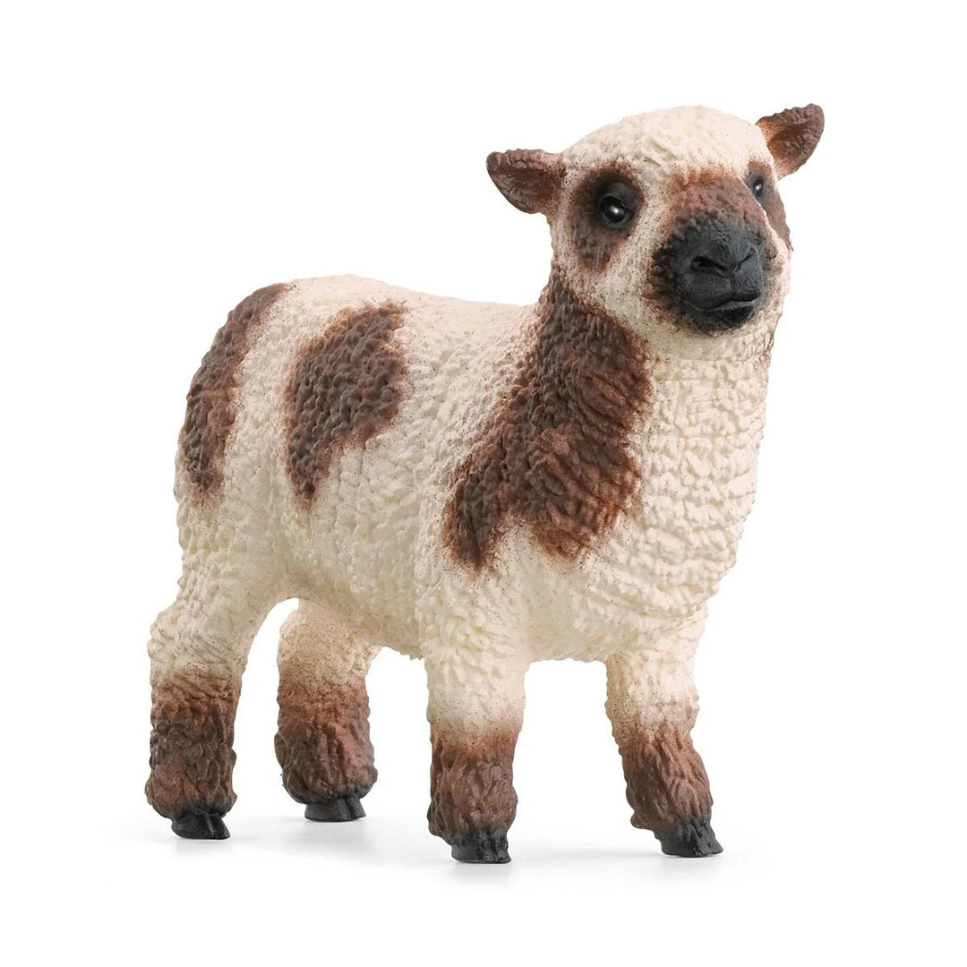Sheep Friends - Tools 4 Teaching