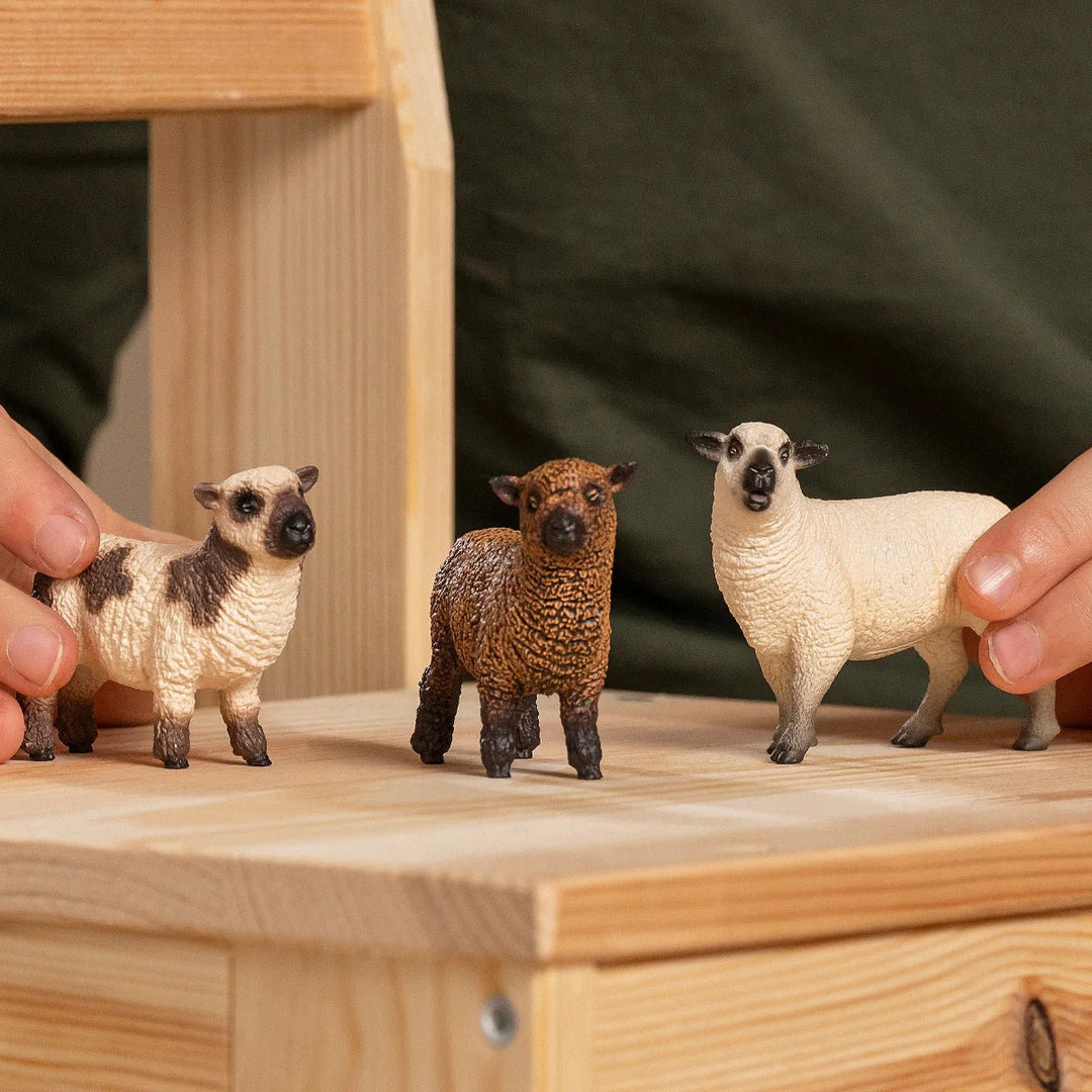 Sheep Friends - Tools 4 Teaching