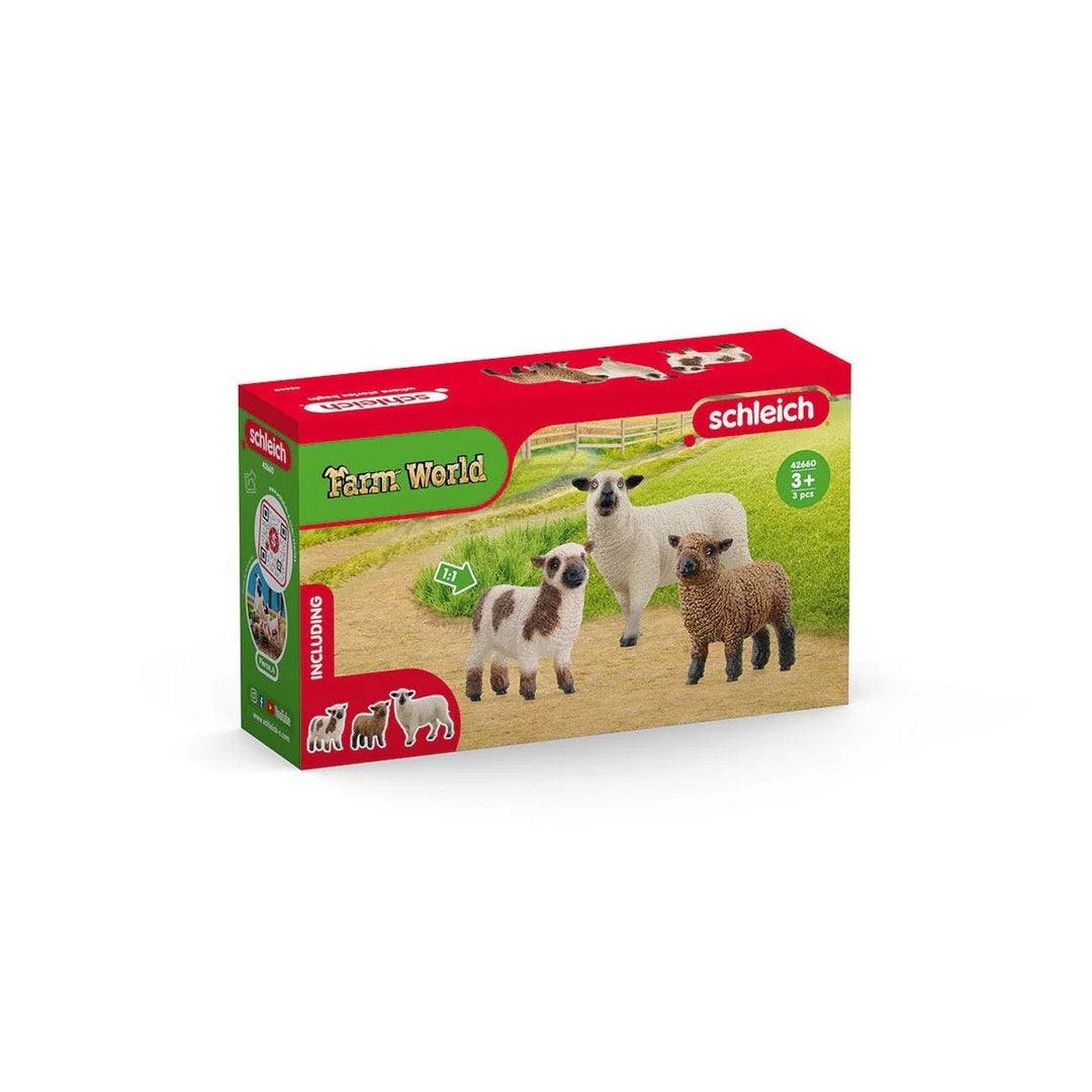 Sheep Friends - Tools 4 Teaching