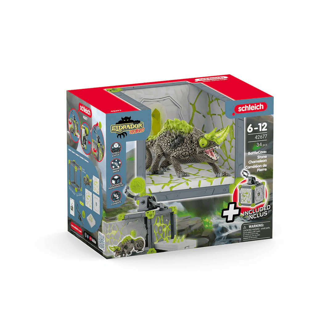 Cave of the Stone Chameleon - Tools 4 Teaching