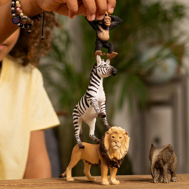 Wild Life Africa Starter Set - Tools 4 Teaching