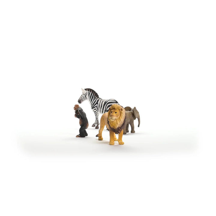 Wild Life Africa Starter Set - Tools 4 Teaching