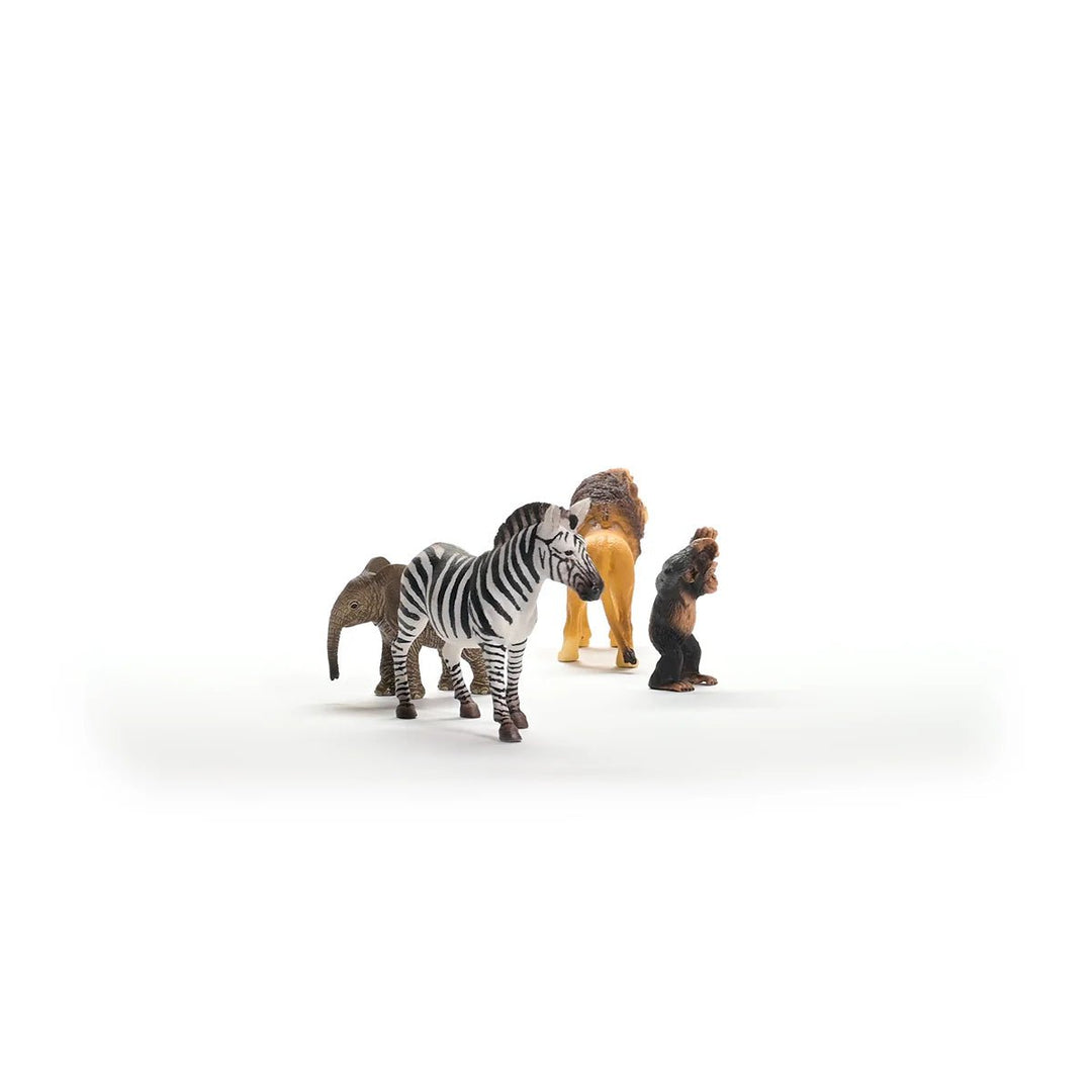 Wild Life Africa Starter Set - Tools 4 Teaching