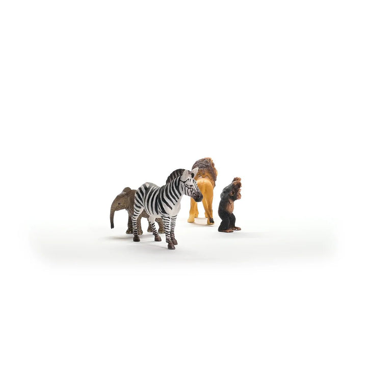 Wild Life Africa Starter Set - Tools 4 Teaching