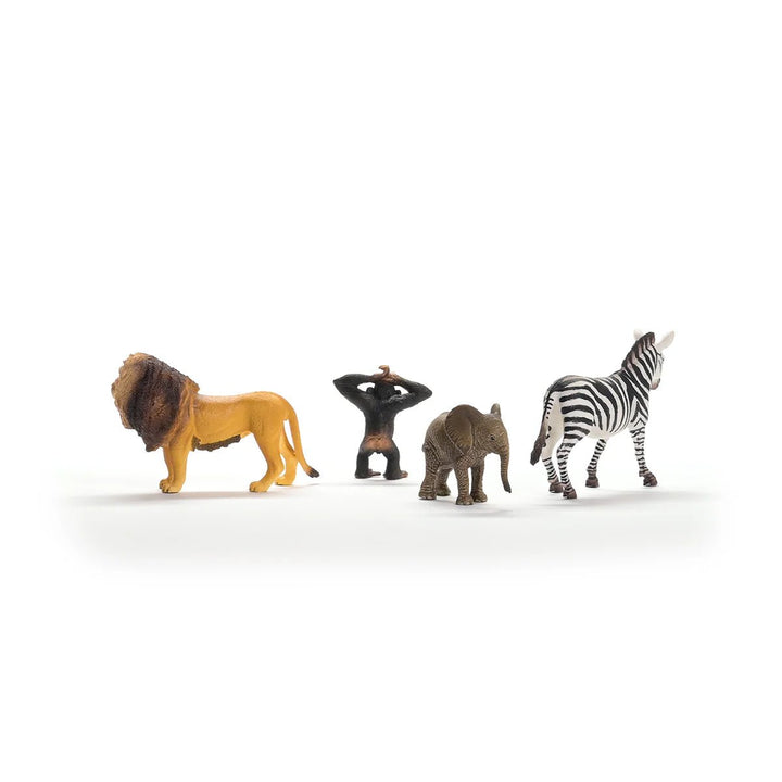 Wild Life Africa Starter Set - Tools 4 Teaching
