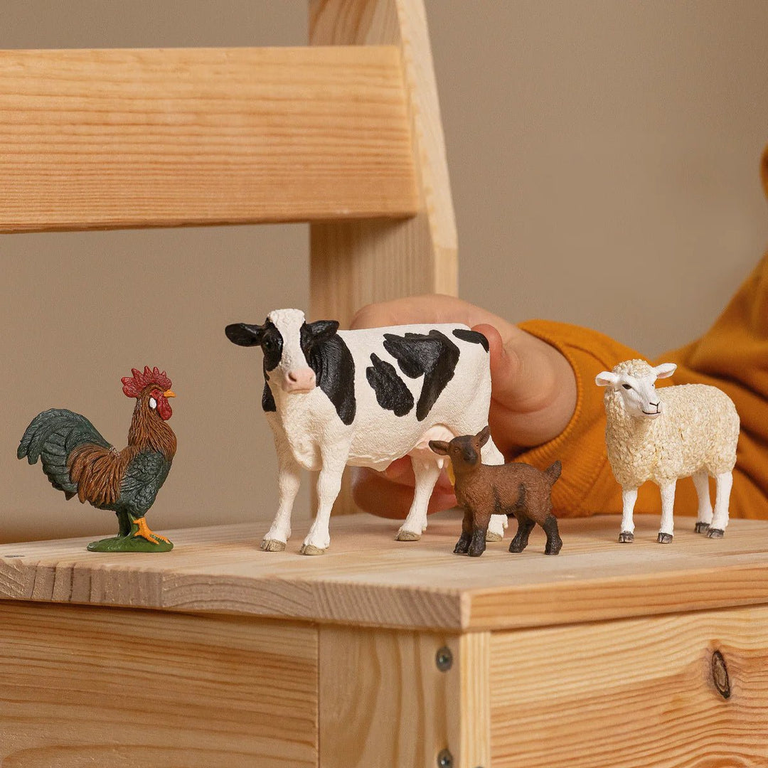 Farm World Farm Starter Set - Tools 4 Teaching