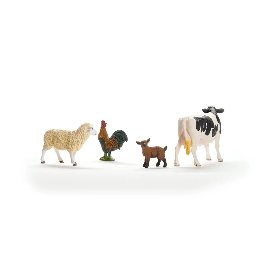 Farm World Farm Starter Set - Tools 4 Teaching