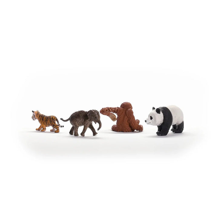 Wild Life Asian Starter Set - Tools 4 Teaching