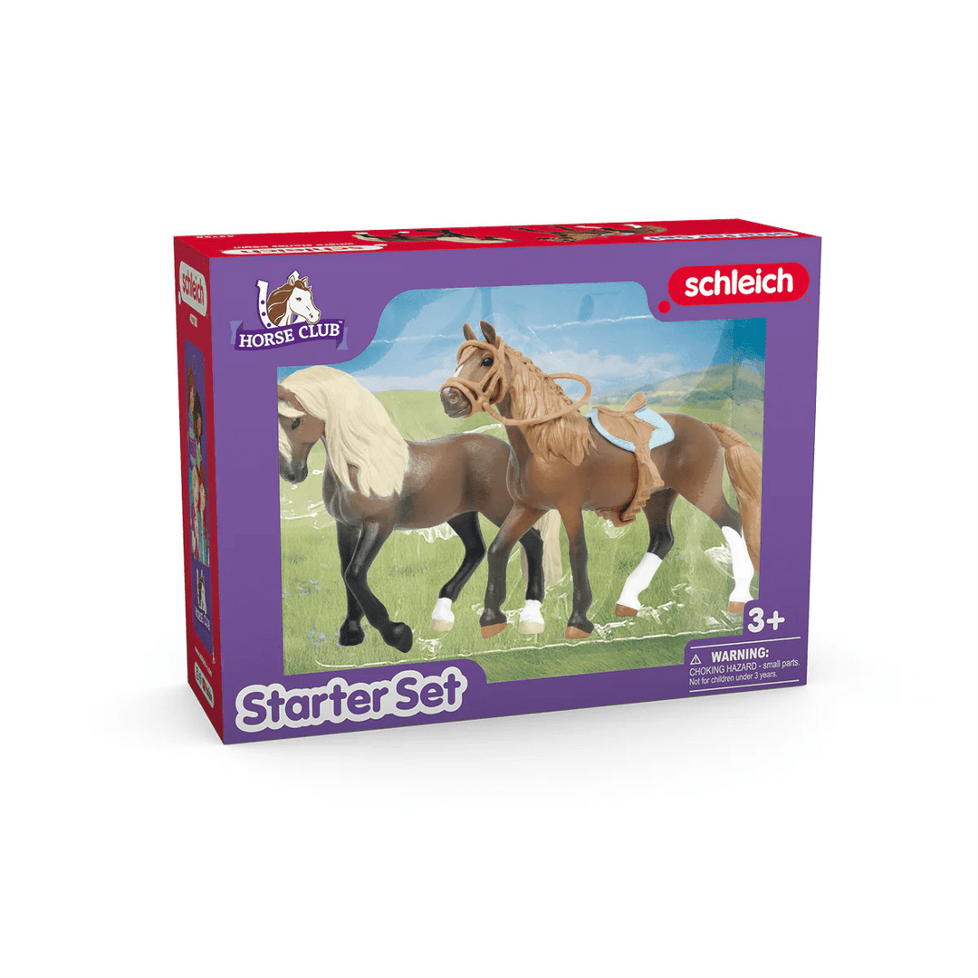 Horse Club Starter Set - Tools 4 Teaching