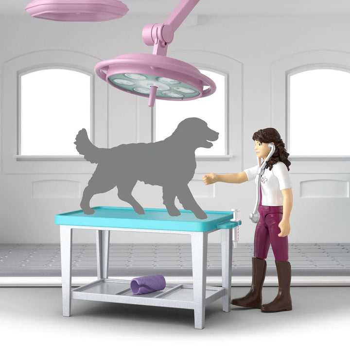Schleich Happy Horse Hospital - Tools 4 Teaching
