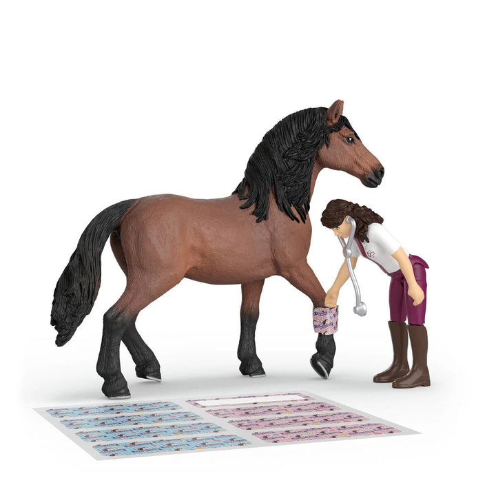Schleich Happy Horse Hospital - Tools 4 Teaching