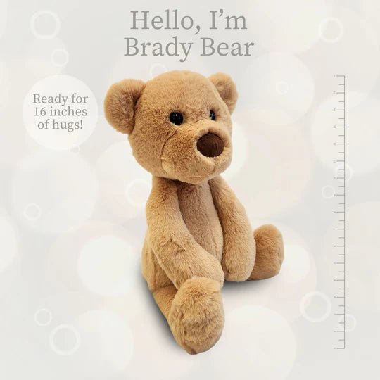 Brady Bear Large Lushee 16" Plush - Tools 4 Teaching