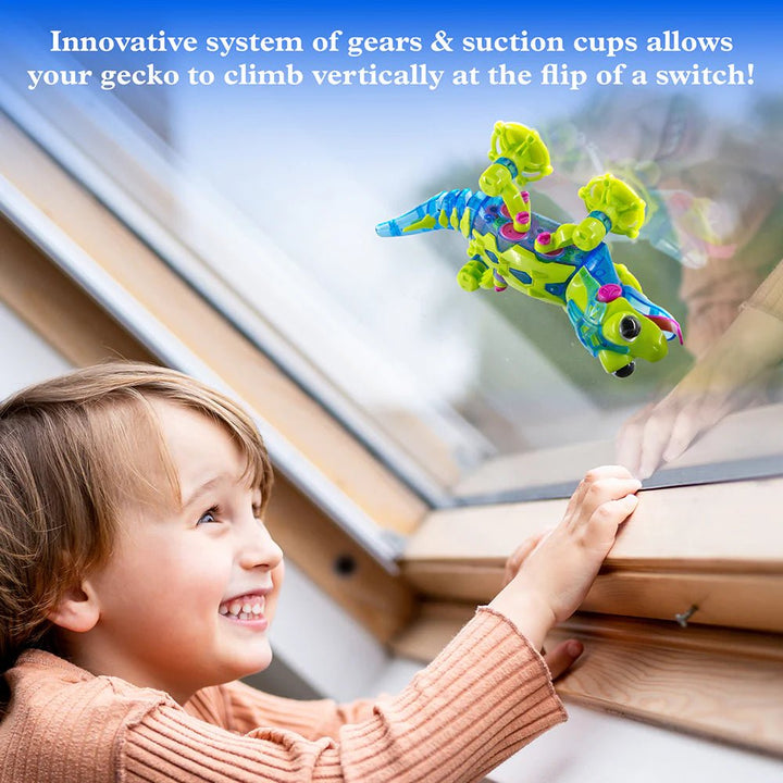 Geckobot 2.0 - Tools 4 Teaching