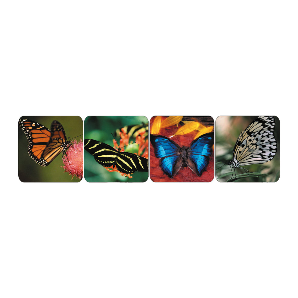 Butterfly Stickers