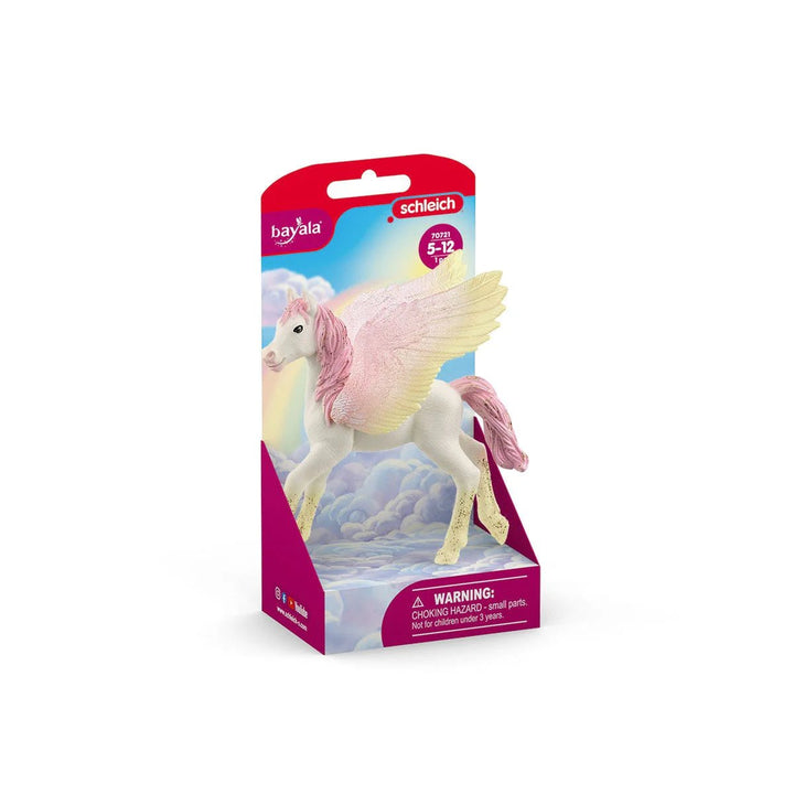 Sunrise Pegasus Foal - Tools 4 Teaching