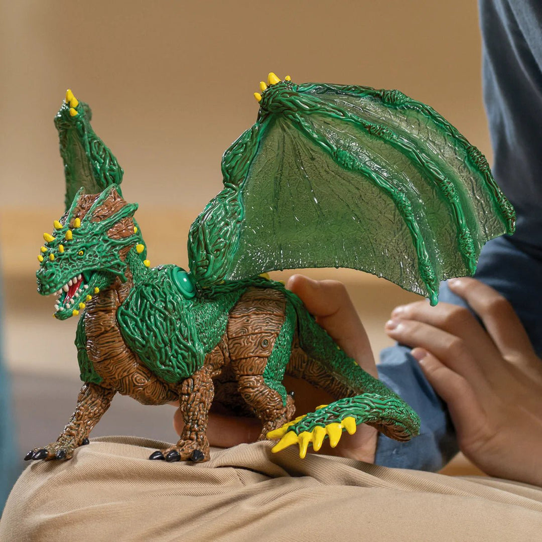 Jungle Dragon - Tools 4 Teaching