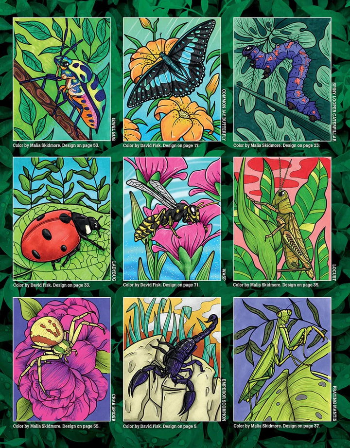 Super Cool Bugs and Spiders Coloring Book - Tools 4 Teaching