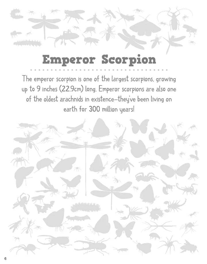 Super Cool Bugs and Spiders Coloring Book - Tools 4 Teaching