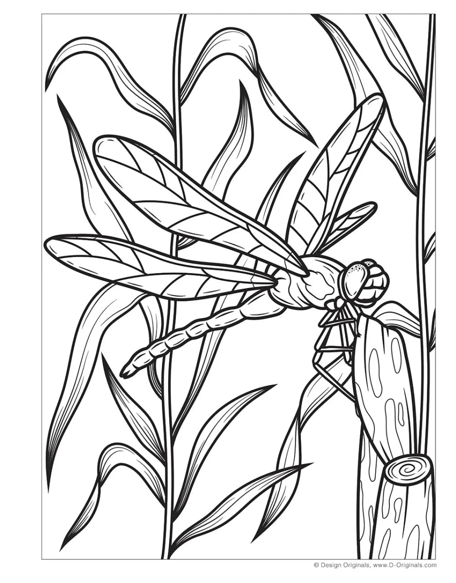 Super Cool Bugs and Spiders Coloring Book - Tools 4 Teaching