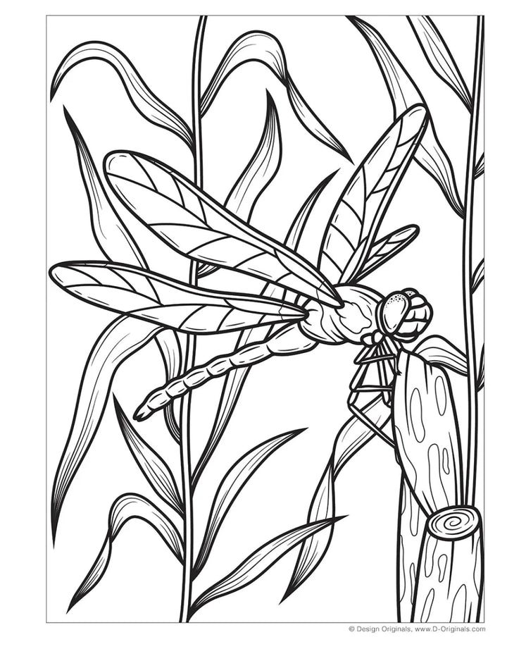 Super Cool Bugs and Spiders Coloring Book - Tools 4 Teaching
