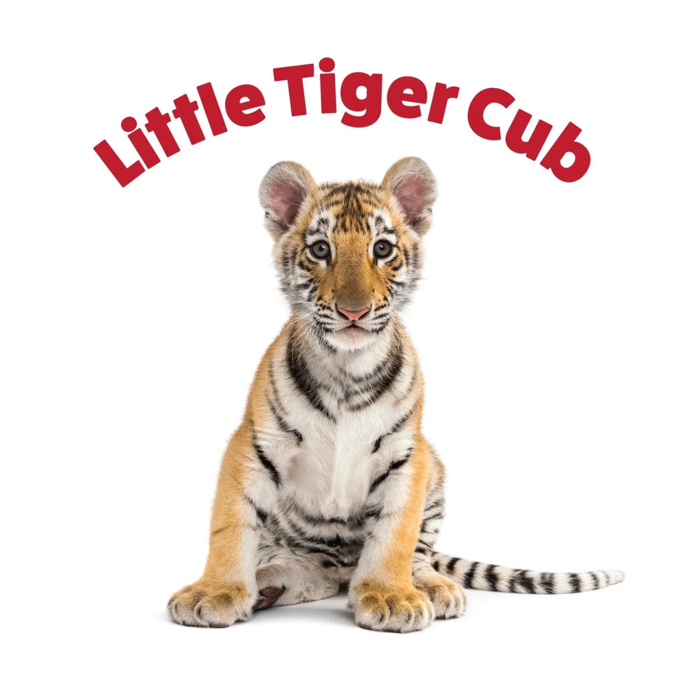 Peek and See Baby Animals All Grown Up - Tools 4 Teaching