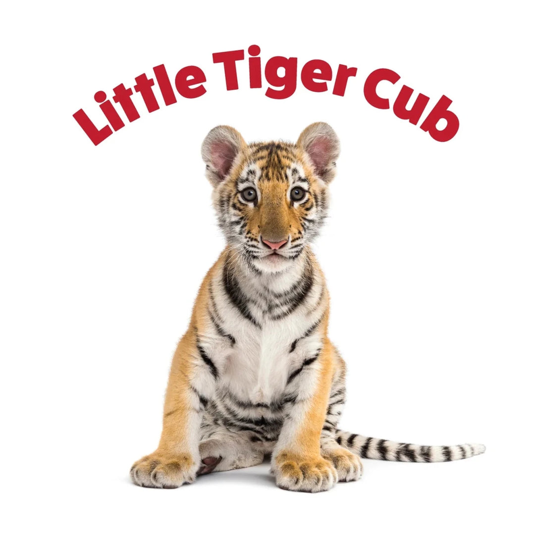 Peek and See Baby Animals All Grown Up - Tools 4 Teaching